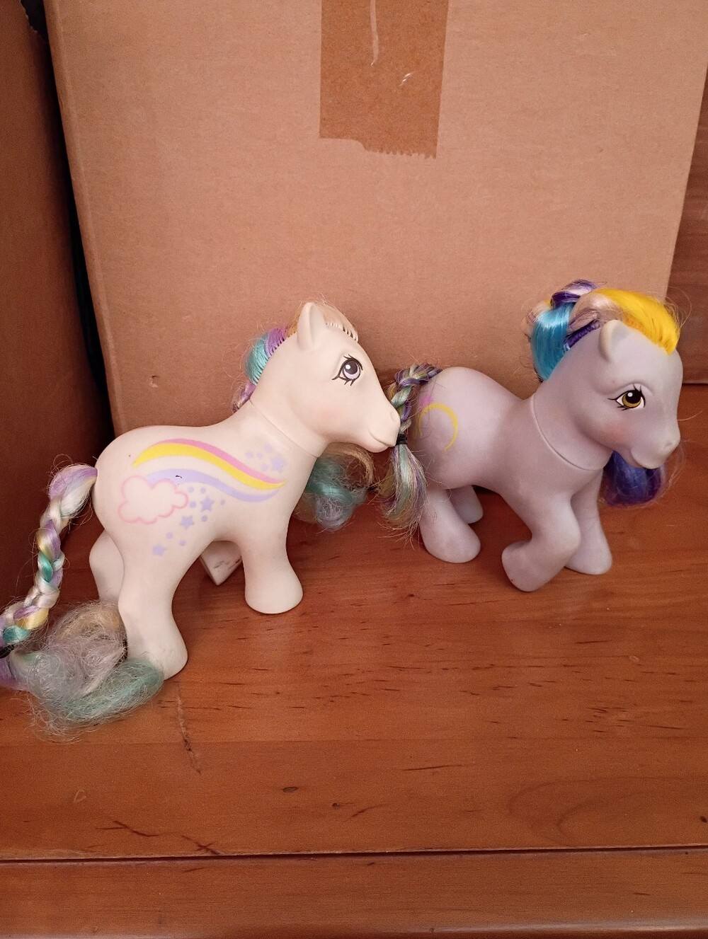 Hasbro My Little Pony G1 Raincurl and a Brush N Go Pony